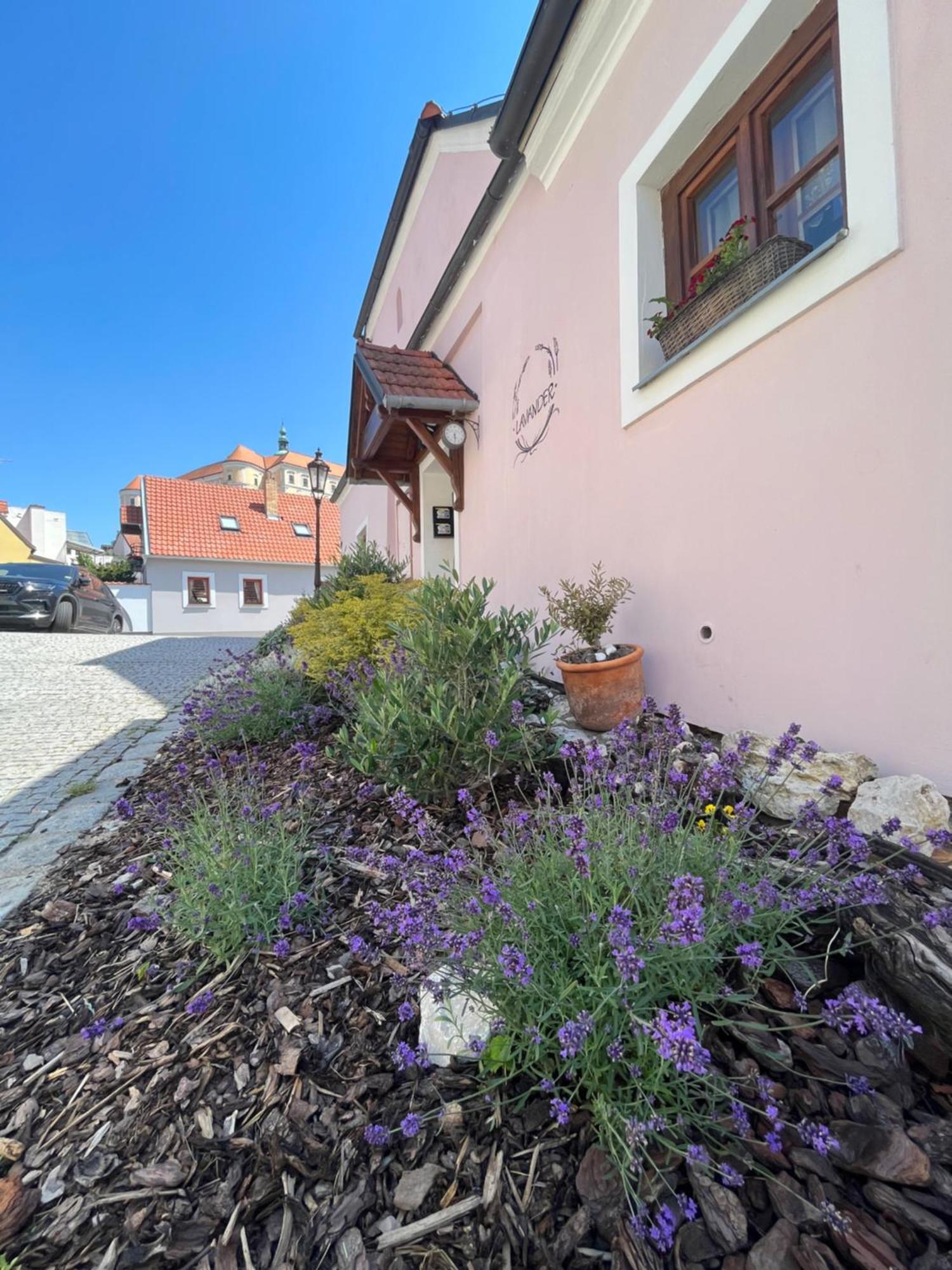 Apartmany Lavander Mikulov Eksteriør billede